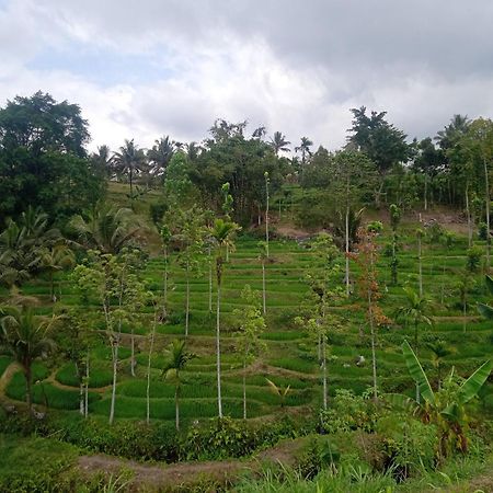 Tetebatu Sunrise Homestay Exteriér fotografie