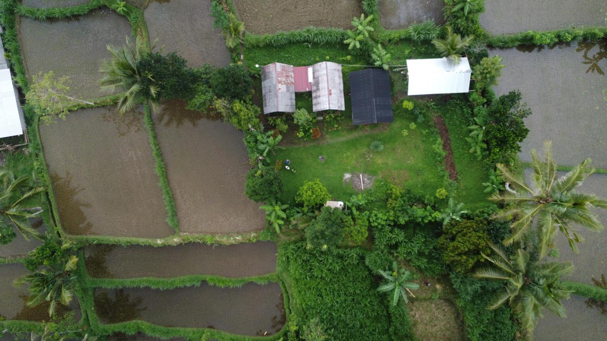 Tetebatu Sunrise Homestay Exteriér fotografie
