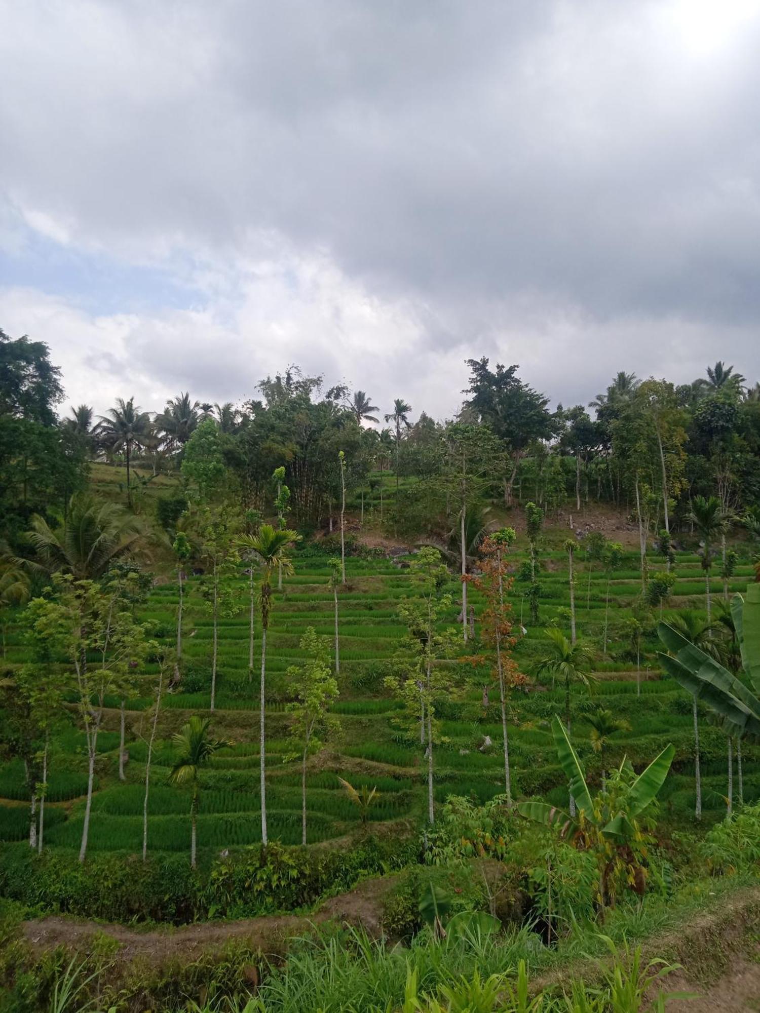 Tetebatu Sunrise Homestay Exteriér fotografie
