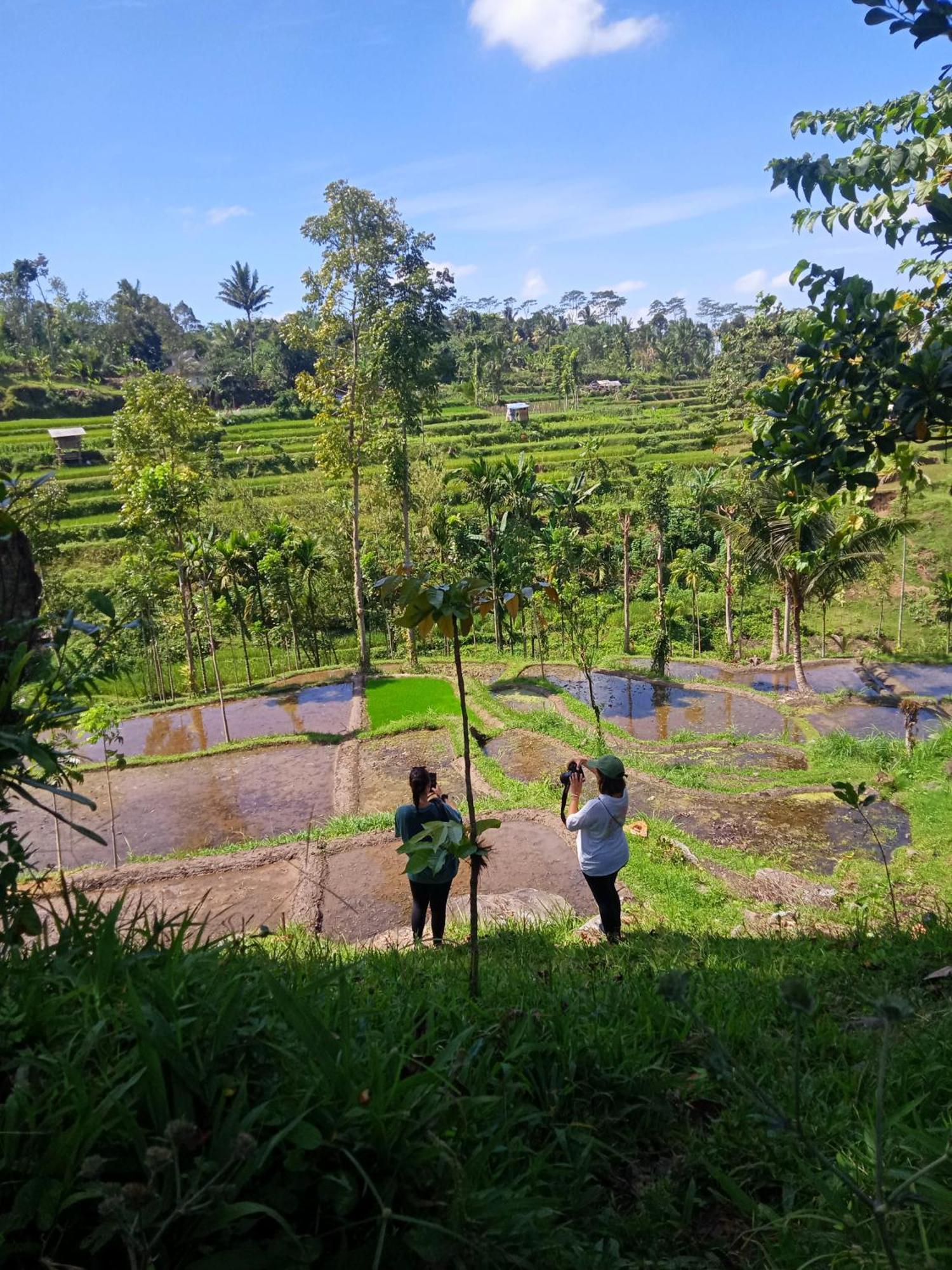 Tetebatu Sunrise Homestay Exteriér fotografie